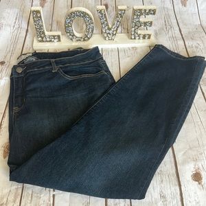 Torrid Curvy Skinny Dark Wash Jeans 22S